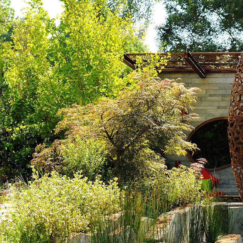 ‘The Patriarch’s Garden’ by Mark Browning, Cycas Landscape Design