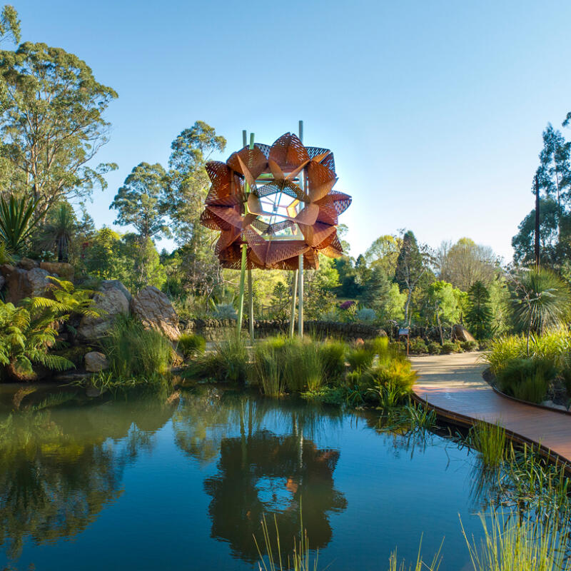 The Waratah Studio   Chelsea Australia Garden Olinda