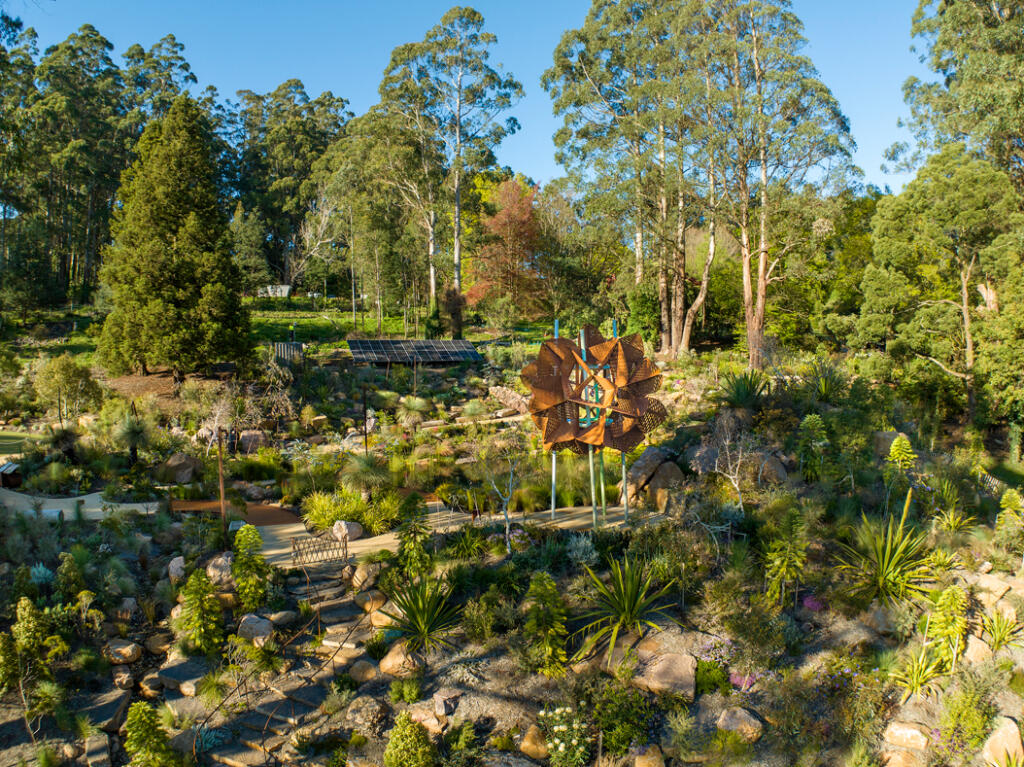Large Corten steel sculpture The Waratah at the Chelsea Australia Garden Olinda